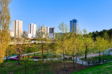 Göl kenarındaki şehir merkezi manzarası. Gwanggyo Gölü Parkı Suwon Kore.
