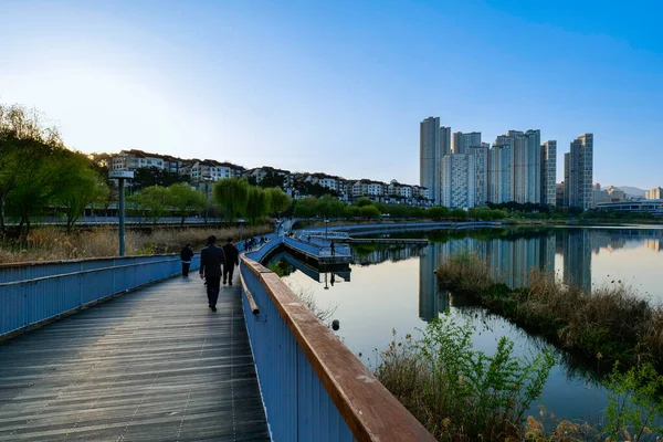 Göl kenarındaki şehir merkezi manzarası. Gwanggyo Gölü Parkı Suwon Kore.