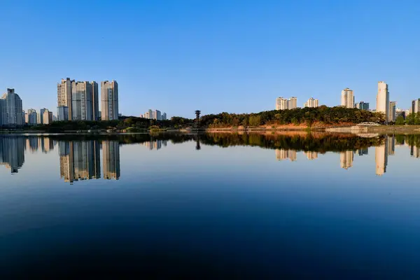 Vue Centre Ville Skyline Avec Lac Gwanggyo Lac Parc Suwon — Photo