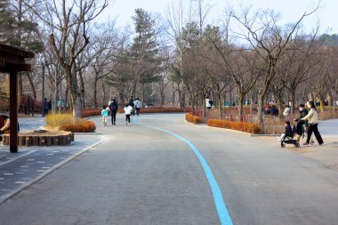 İnsanlar sonbahar sezonunda parkta yürüyorlar.