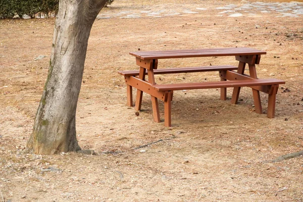 Piknik masası parktaki ağacın altında.