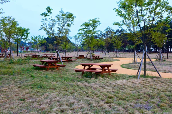 Деревянные Столы Пикника Парке — стоковое фото