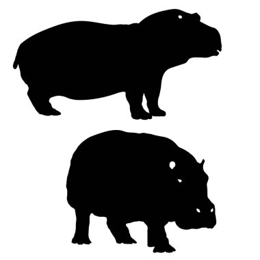 Hipopotam ve etkinliklerinin ressamı olan kudretli Hippopotam vaktini suda geçirmeyi sever, özellikle nehirlerde ve göllerde. Devasa büyüklüğüyle, büyük bir sıçrama yapar ve zarifçe dalıp yüzer..