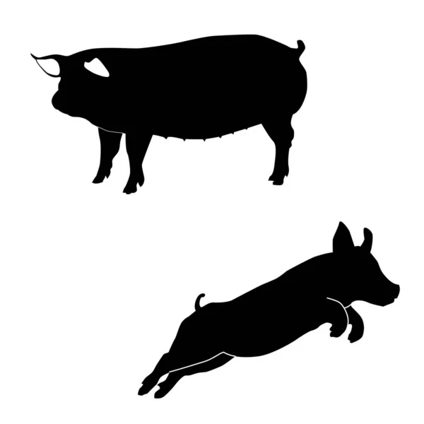 stock vector The pig is a domesticated mammal known for its stout body, short legs, and round, compact shape. It has a distinct snout, which is flexible and used for rooting and foraging. Pigs come in various colors, including pink, black, and spotted patterns. 