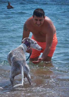 Köpeğiyle sahilde bir adam.