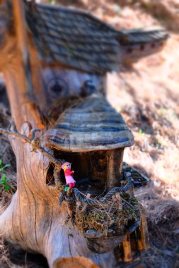 Bahçedeki küçük melek