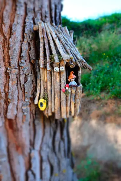 Şirin bir kuşun yakın plan fotoğrafı.