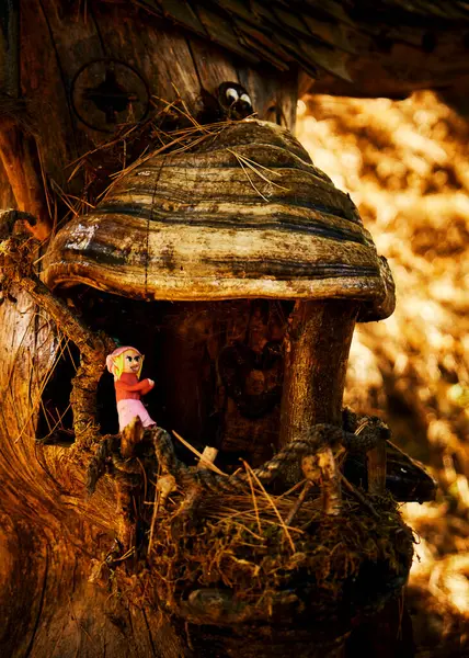 Ormandaki eski ahşap ev