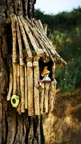 Ormanda küçük bir sincap