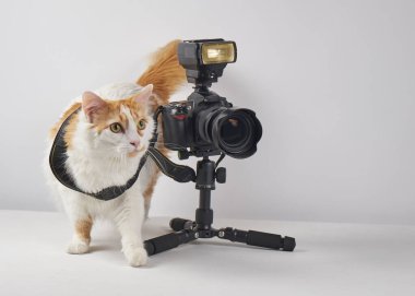 Beyaz arka planda kamera olan bir fotoğrafçı. profesyonel fotoğrafçı ekipmanı.