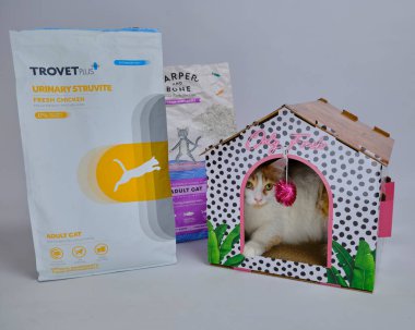 Kedi yemek ve kedi kutuda.