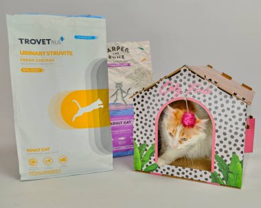 Kedili bir kedi ve beyaz arka planda bir fincan kahve..