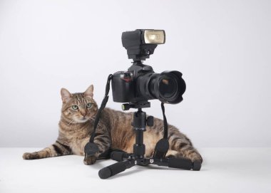 Üç ayaklı kedi ve beyaz arka planda izole edilmiş kamera..
