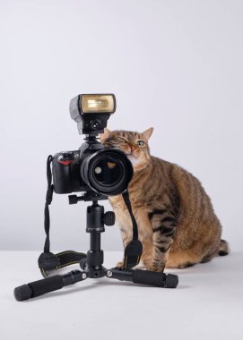 Üç ayaklı ve kameralı bir kedi.