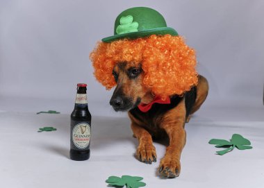 İrlandalı saint patricks günü