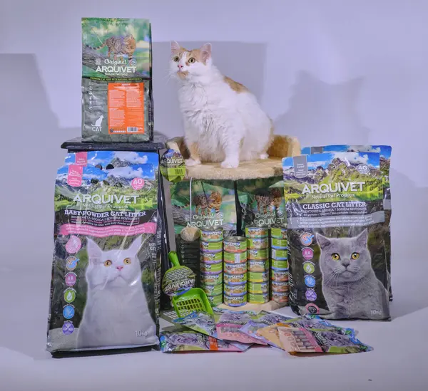 Bir sürü yiyeceği olan bir kedi.