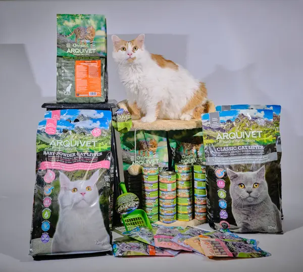 Bir sürü yiyeceği olan bir kedi.