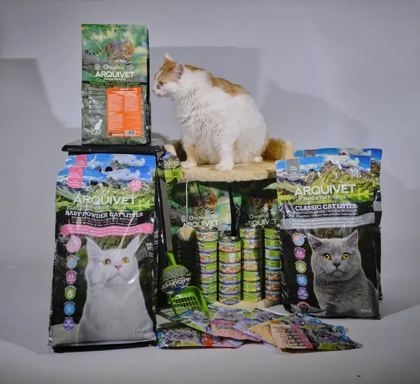 Mağazadaki evcil kedi