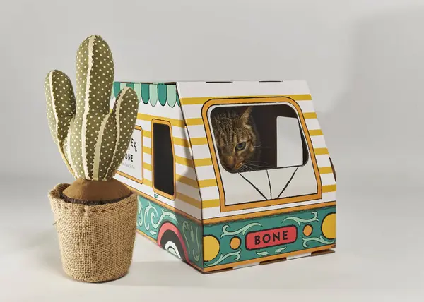 Kaktüslü el yapımı hediye kutusu.