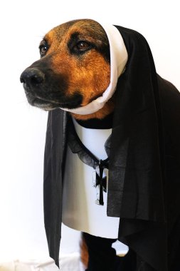 Yerde siyah bornozlu bir köpeğin portresi