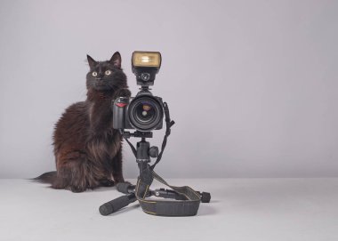 tripodda retro kamerası olan kedi