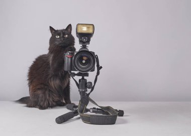 Beyaz bir masada kamera ve gri bir arka planı olan siyah bir kedi.