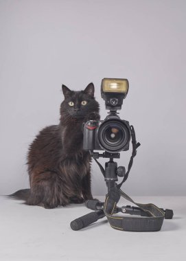 Beyaz arka planda kamerası olan sevimli bir kedi.