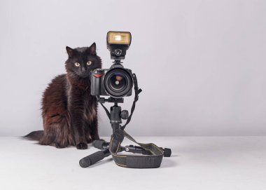 Kara kedi ve kamera..