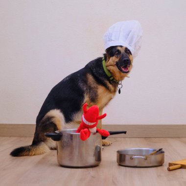 Mutfakta bir kase makarna ve köpek var.