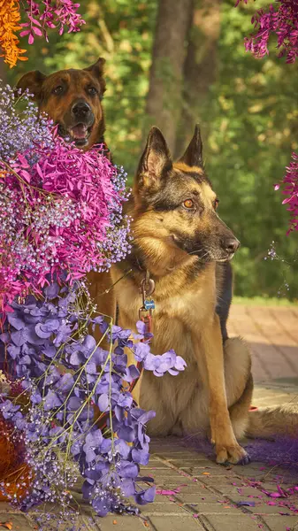Bahçesinde bir buket çiçek olan bir köpeğin portresi.