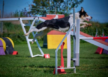 kenar kömür ocağı çeviklik yarışma
