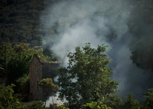 Ağaçlı küçük bir şelale ve arka planda bir dağ