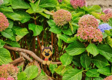 Yeşillik ve çalılarla çevrili bir parkta köpeğin dikey görüntüsü.