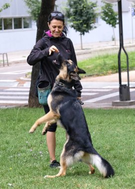 Genç bir kadın köpeğiyle oynuyor.