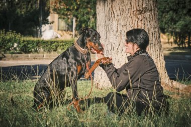 Genç kadın ve köpeği parktaki doberman.