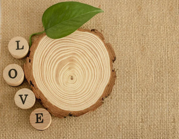 light brown jute background where there is a piece of cut wood where its circles can be seen, the word LOVE appears and a green leaf comes out of the Wood, copy space.