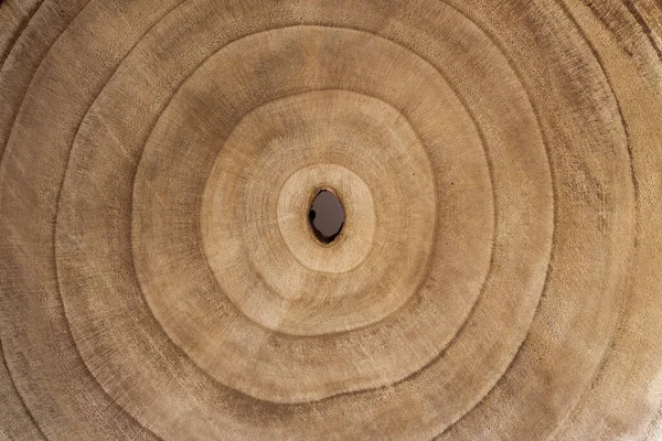 Querschnitt Hintergrund Eines Baumes — Stockfoto