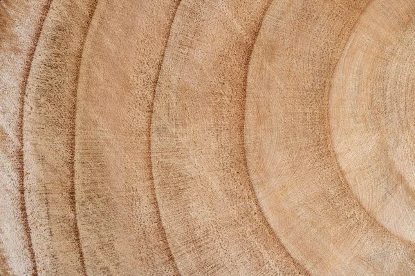 Nahaufnahme Querschnitt Hintergrund Eines Baumes Hölzerne — Stockfoto