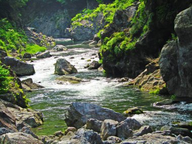 Dağa tırmandım. Takao, Tokyo 'da alçak bir dağ. Sonbaharın ortasında, sarı, turuncu ve kırmızımsı yapraklı geniş yapraklı ağaçlar kozalaklı ağaçlar arasında güzeldir. İnişte, nehir boyunca yürüdüm ve köprüye ateş ettim..