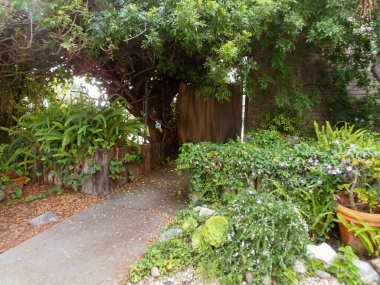 Güney Kaliforniya 'da sahile giden işlek bir patikadan uzakta tenha bir bahçe..