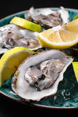 Oysters served with lemon and ice on blue plate on black concrete background