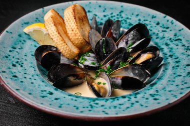 Oysters in cream sauce on blue plate on black concrete background