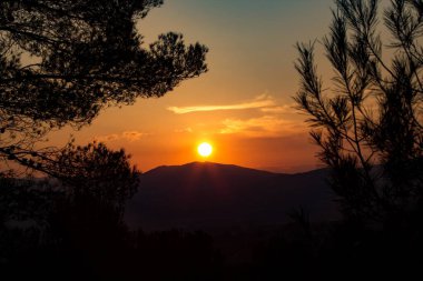 Dağda güzel turuncu gün batımı ve Sierra de Mariola 'da bir çam dalında spot ışıkları, Alcoy