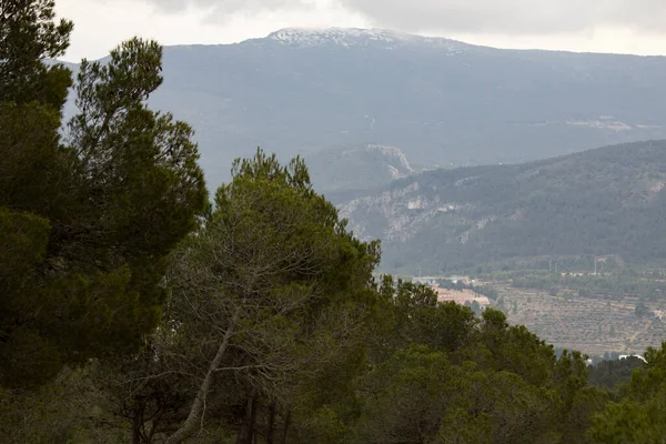 Snowy Piek Van Carrasqueta Gelaagd Landschap Met Dennenbomen Voorgrond Spanje — Stockfoto