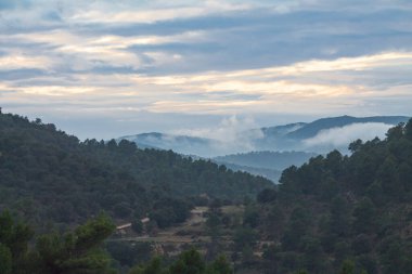 İspanya, Alcoy 'un Doğal Parkı' nın gün batımında katmanlar ve bulutlarla kaplı bir orman.