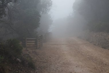 Yağmur ve sislerle dolu bir günde İspanya 'da Kızıl Yem Pınarı' nın doğal parkının yolu