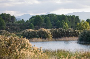 Sabahın erken saatlerinde Albufera de Gaianes bulutları ve arka planda sazlık ormanı ve dağlarla kaplı bir manzara.