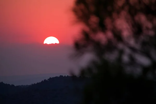 Rötlicher Sonnenuntergang Mit Der Sonne Die Sich Hinter Einer Bank — Stockfoto