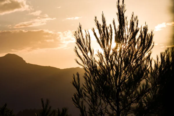 Sonnenuntergang Auf Dem Berg Mit Kiefernsilhouette Almudaina Spanien — Stockfoto