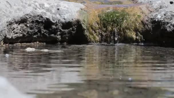 Вода Тече Через Скелі Джерелі Води Preventorio Alcoy — стокове відео
